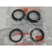 FORK SEAL KIT